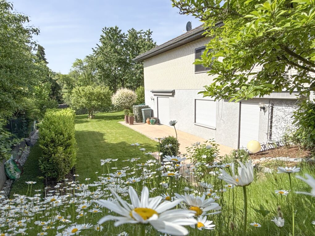 Seitenansicht