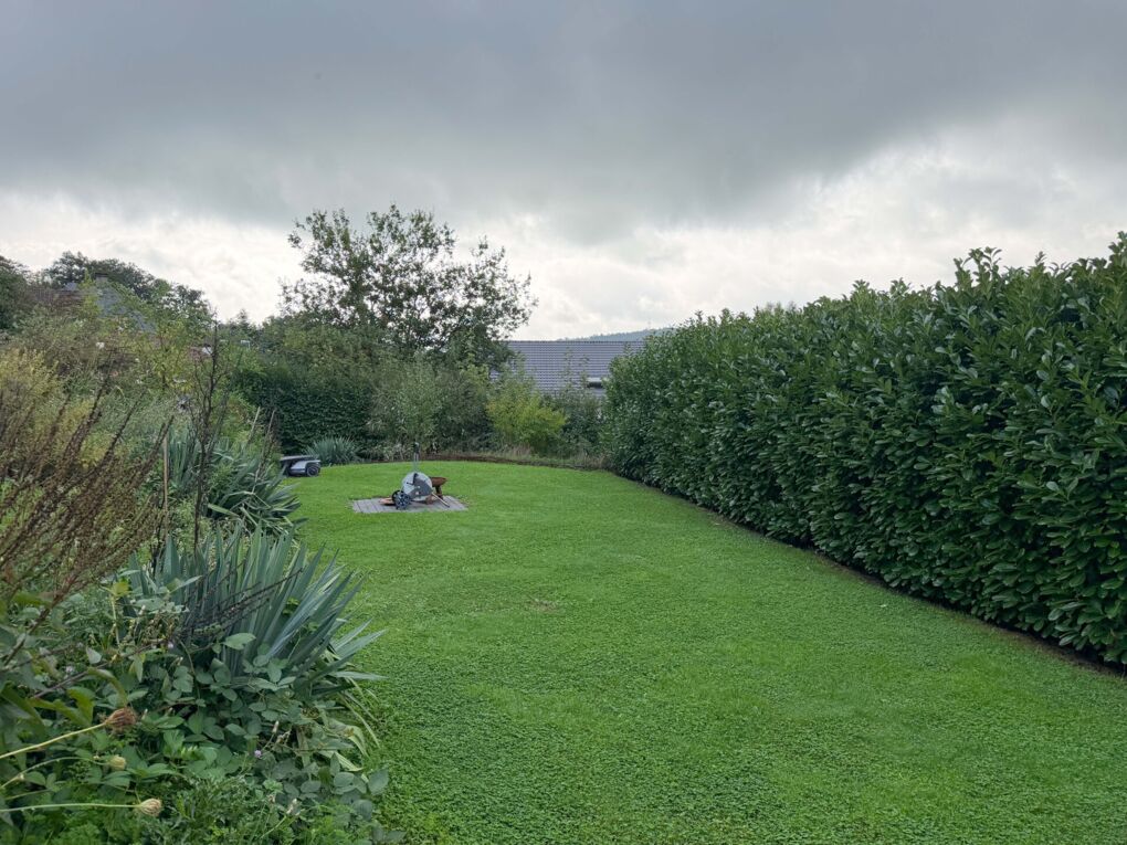 Garten - 1. Ebene