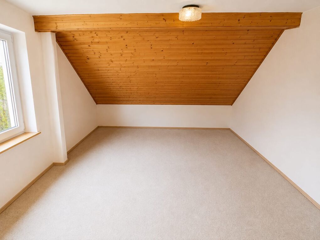 Zimmer DG 