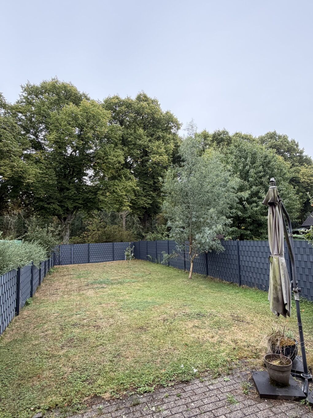 Pflegeleichter Garten 