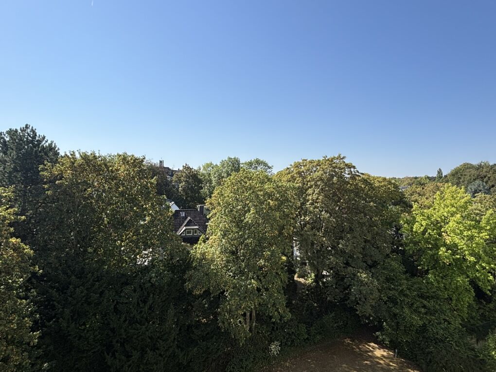 Ausblick