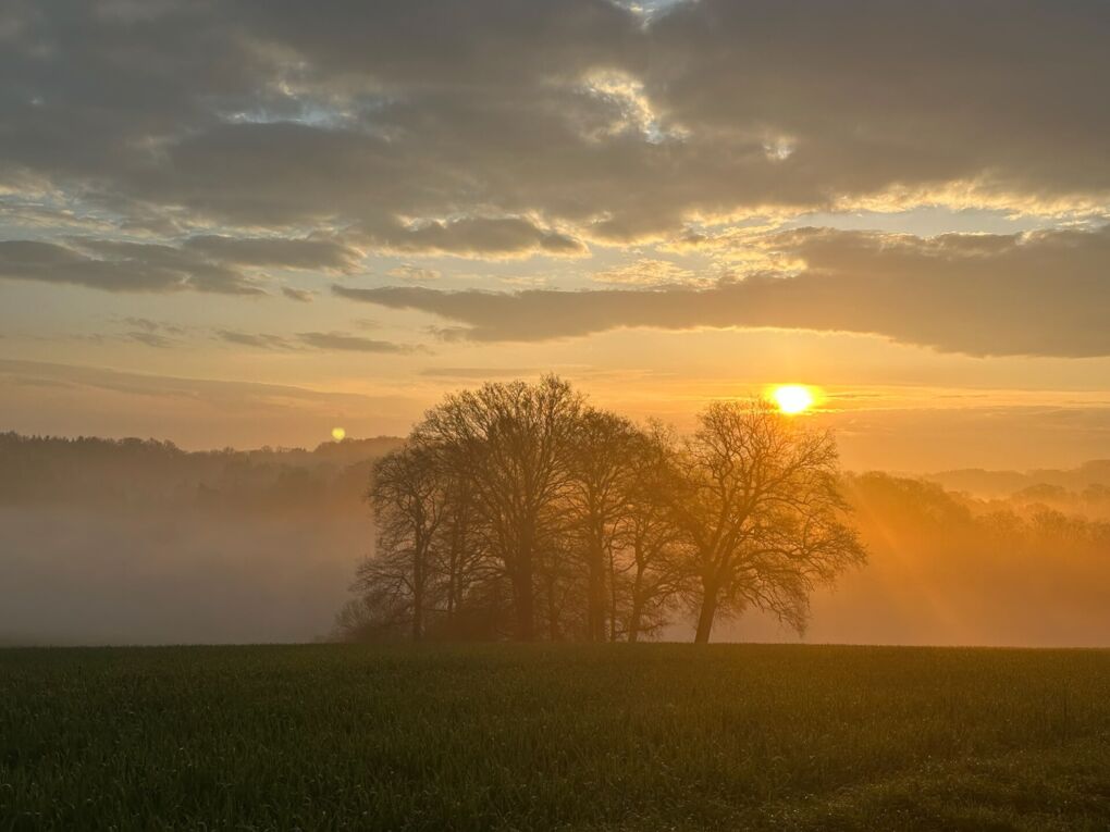 Abendstimmung
