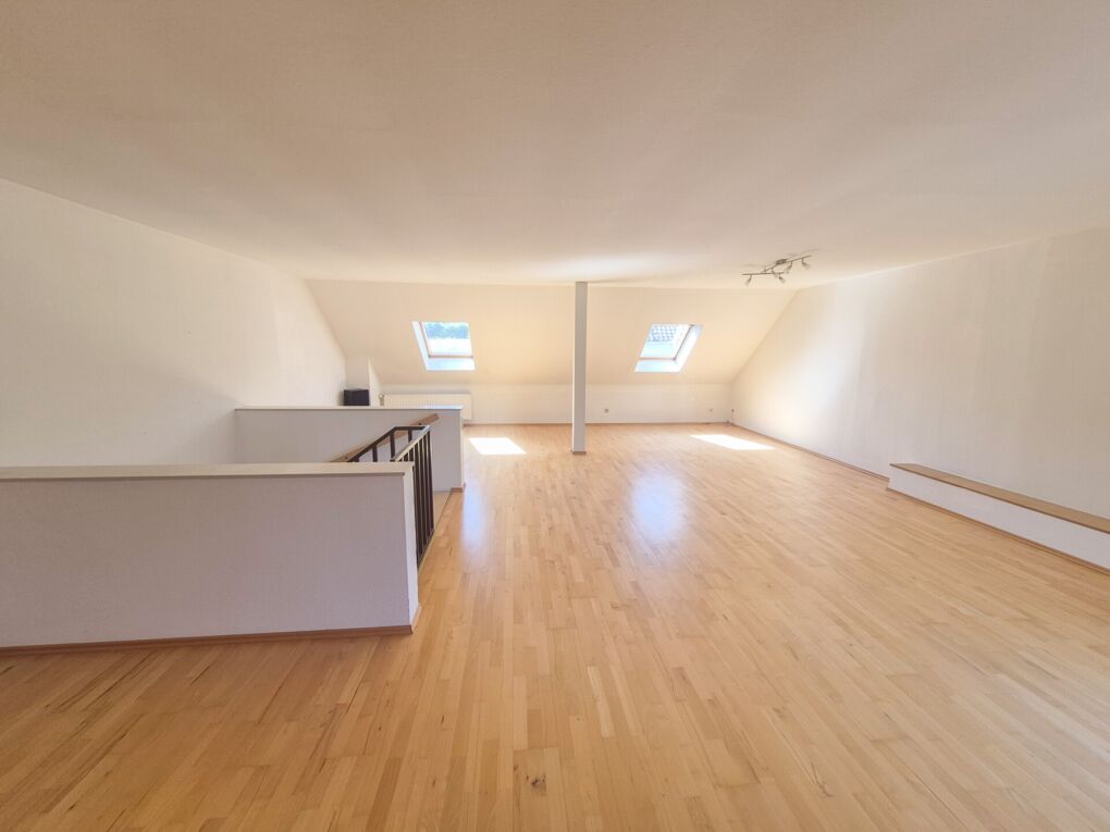 Studio (DG)