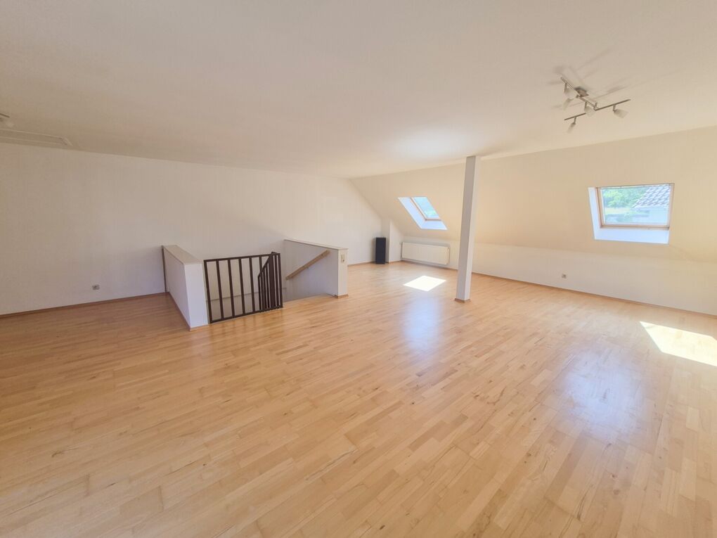 Studio (DG)
