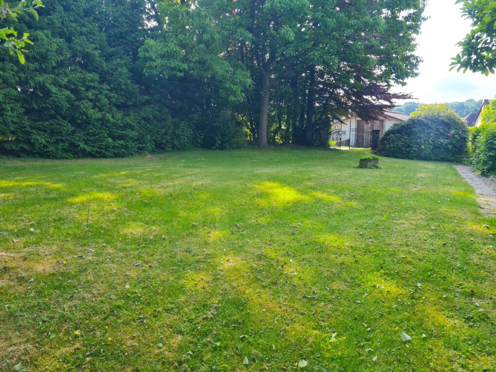 Blick ins Grüne