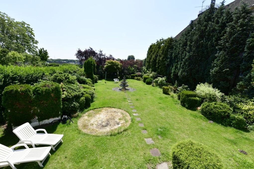 Blick in den Garten