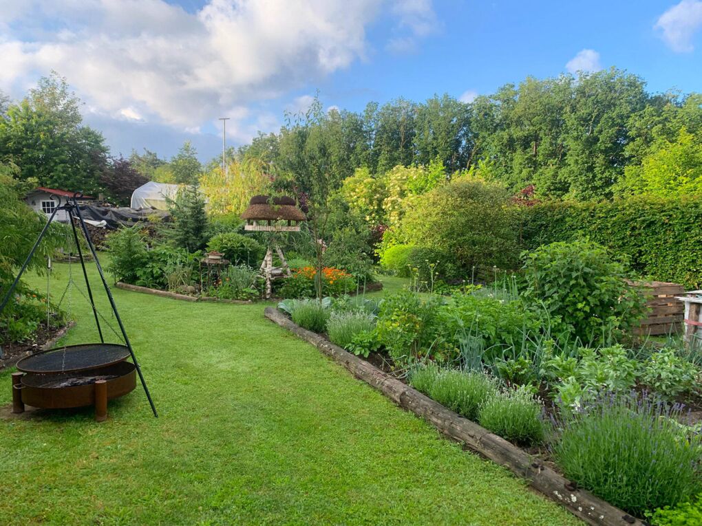 Blick in den Garten