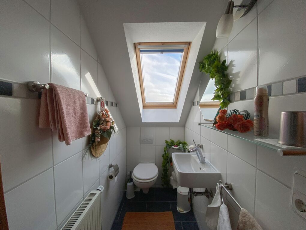 WC DG