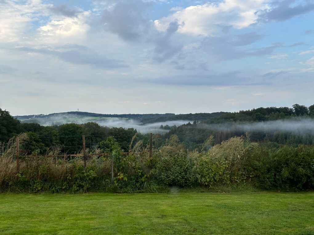 Aussicht Nebel